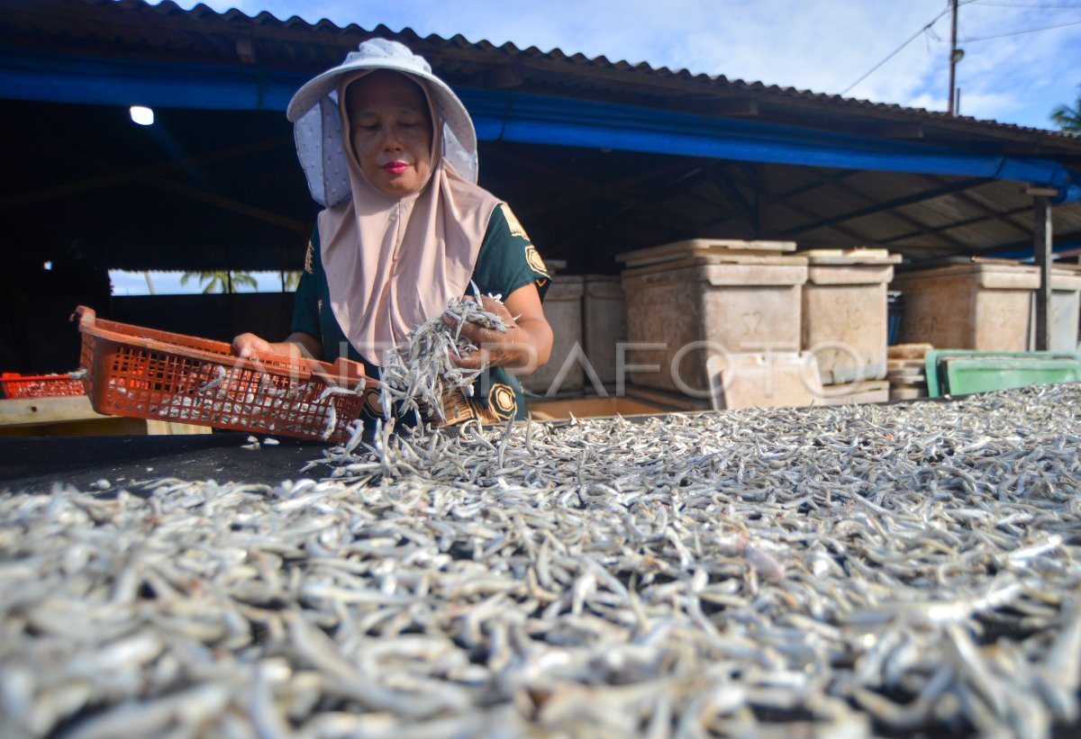 Produksi ikan kering terkendala cuaca di Padang