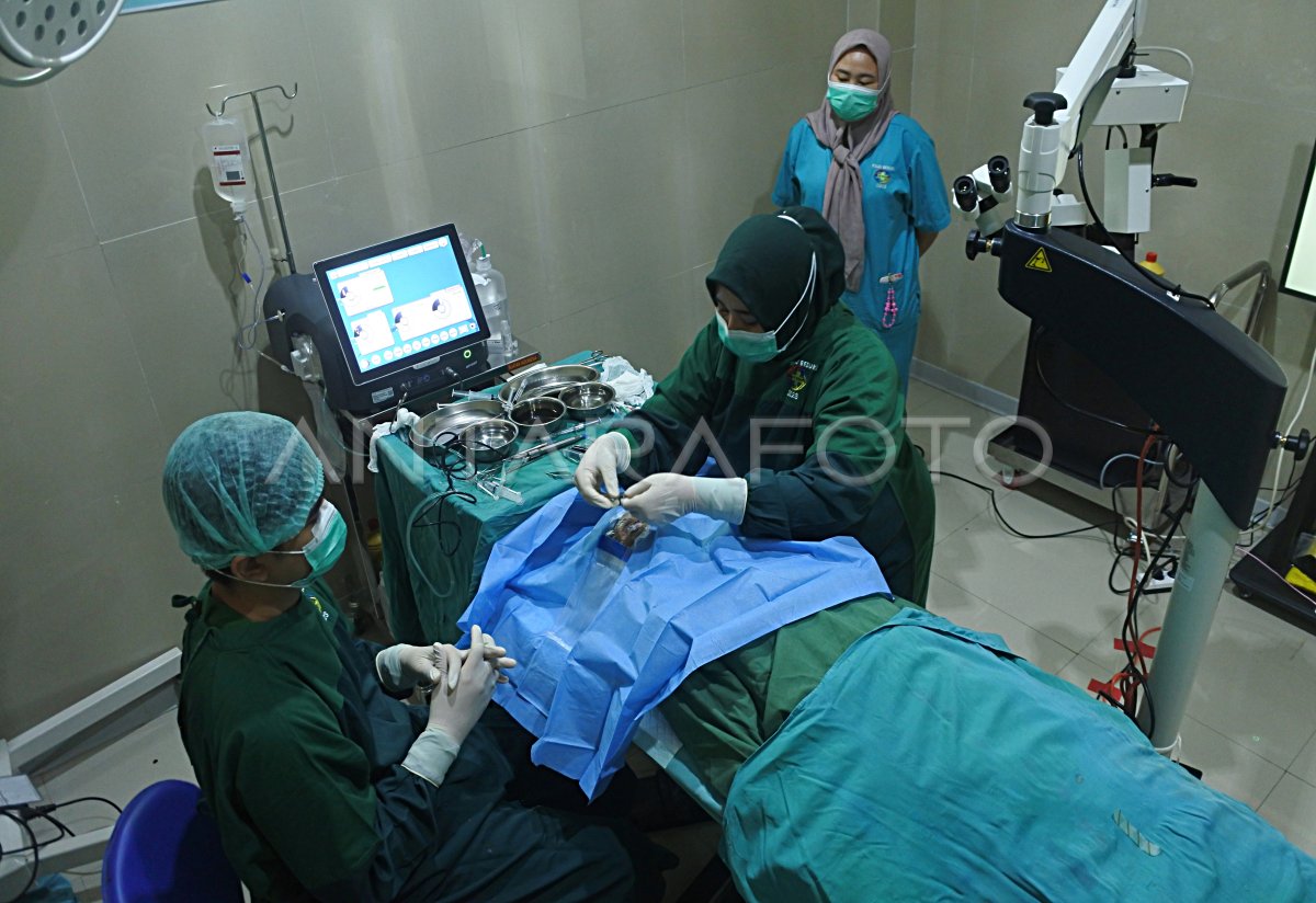 Claire Castel porno yulduz