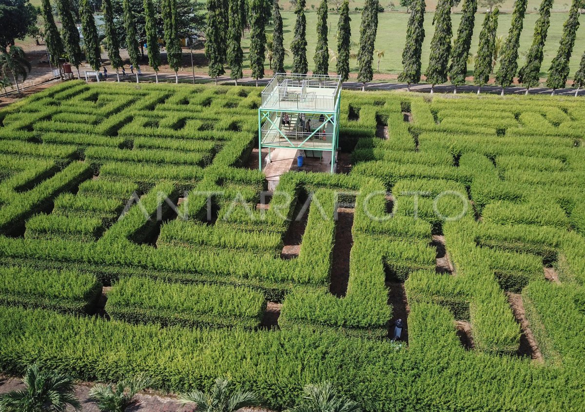 OBJEK WISATA TAMAN LABIRIN PELAIHARI | ANTARA Foto