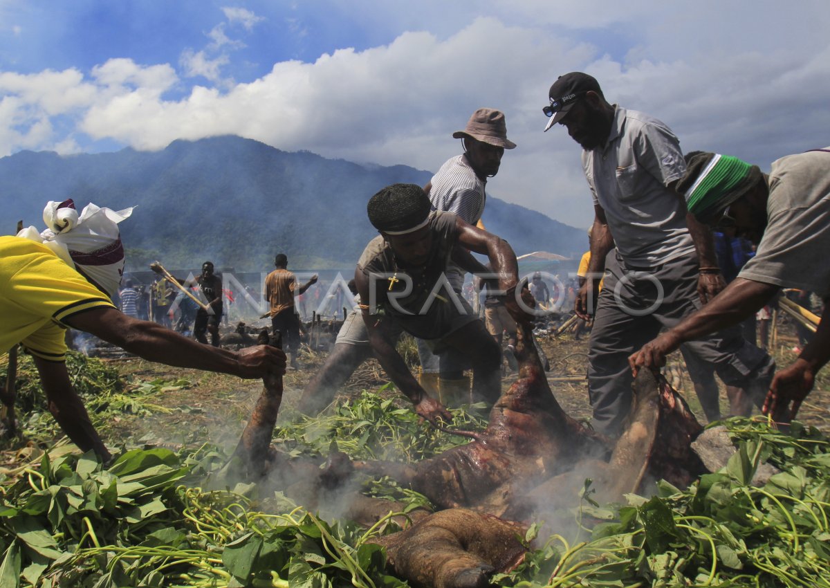 The people of the burning stone in Papua Mountains