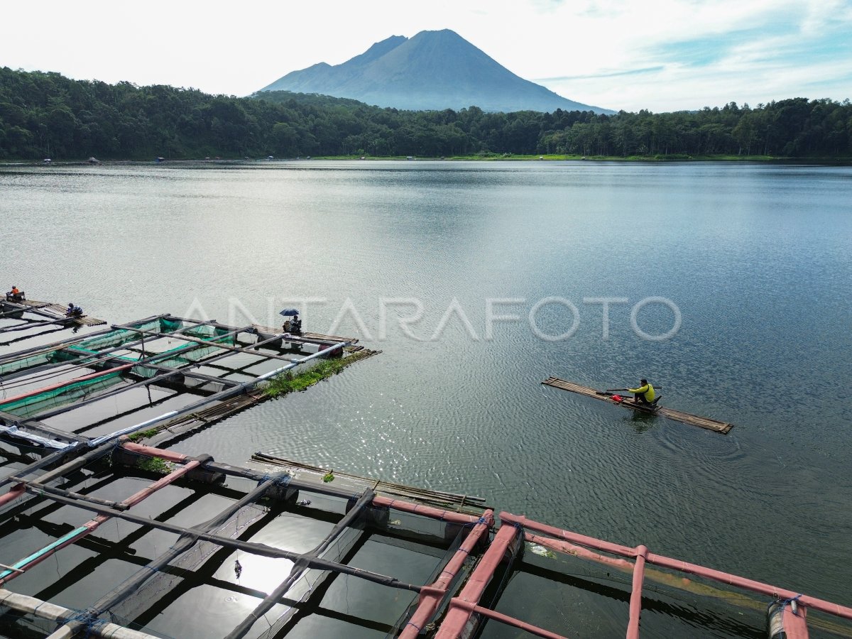 Budidaya ikan air tawar keramba di Ranu Klakah
