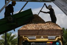 Pabrik pembuatan woodchips untuk cofiring biomassa
