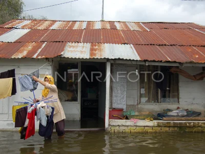 Yalangoch Jonah Falcon fotosurati