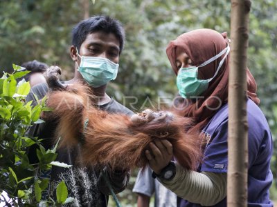 U meni yotqizdi va chiroyli tarzda sikdi.