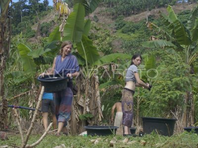 PEMERIKSAAN IMIGRASI KOMUNITAS BACKPACKER