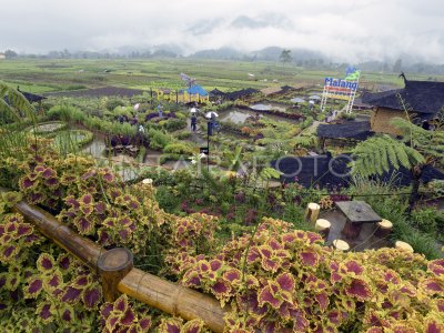 PEMBERDAYAAN BUMDES WISATA DI MALANG