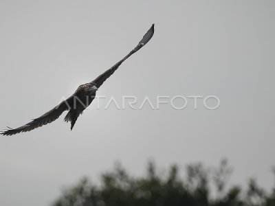 OBSERVACIÓN DEL AGUA