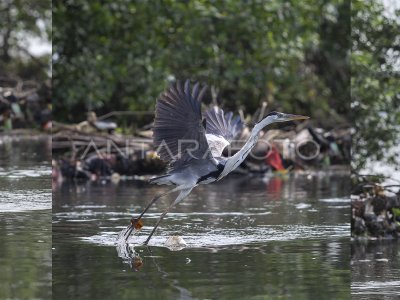 OBSERVACIÓN DEL AGUA