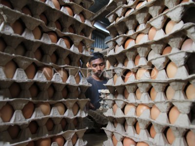 HARGA TELUR AYAM TURUN DI ACEH