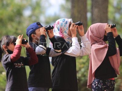 EDUKASI Y JUEGOS DE OBSERVACIÓN PARA NIÑOS