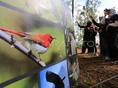 EDUKASI Y JUEGOS DE OBSERVACIÓN PARA NIÑOS