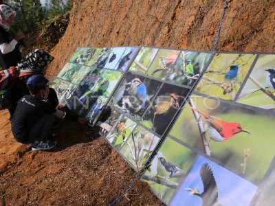 EDUKASI Y JUEGOS DE OBSERVACIÓN PARA NIÑOS