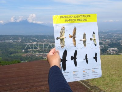 MIGRACIÓN OBSERVACIÓN JUEGOS