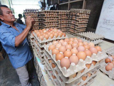 KENAIKAN HARGA TELUR DI ACEH BARAT