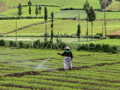 PEMBUATAN PUPUK ORGANIK | ANTARA Foto