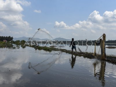 Kawasan Lumbung Padi Dilanda Banjir | ANTARA Foto