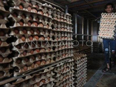 Harga telur ayam ras naik di Aceh