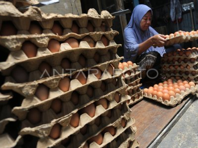 Harga telur ayam ras naik di Aceh
