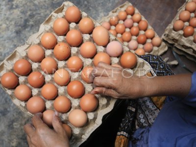 Harga telur ayam ras naik di Aceh