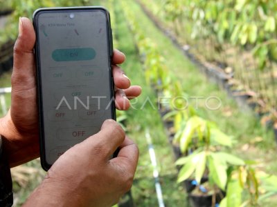 Penerapan Teknologi Digital Dalam Pertanian | ANTARA Foto