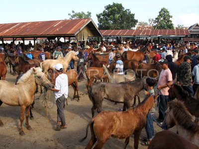 Pasar kuda Jeneponto