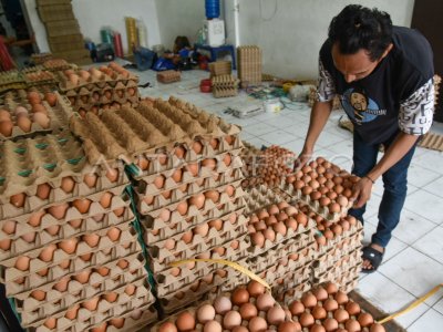 Kenaikan harga telur ayam di Medan