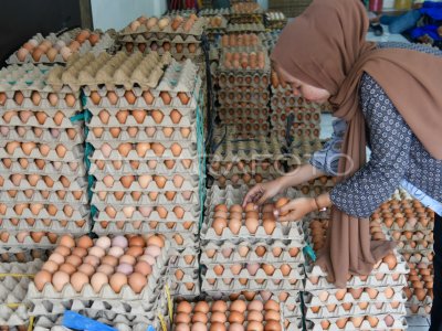 Kenaikan harga telur ayam di Medan