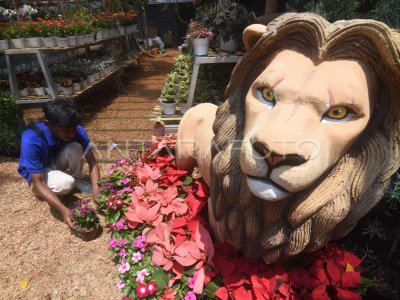 Flona Exhibition 2023