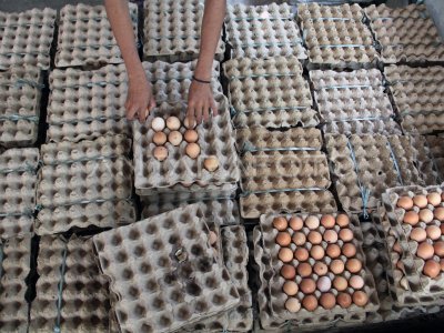 Permintaan telur ayam untuk Lebaran meningkat