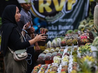 2024 Flona Exhibition in Banteng Field