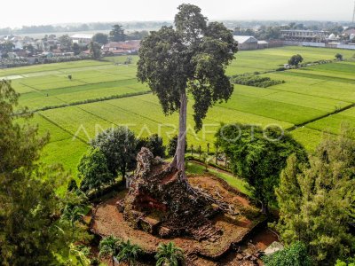 Candi Lor di Nganjuk alami pelapukan