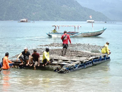 Bir qoramagiz bilan onlayn jinsiy aloqa video