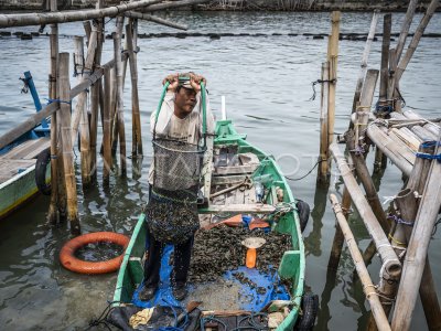Upaya penguatan kesejahteraan dan keberlanjutan nelayan kecil