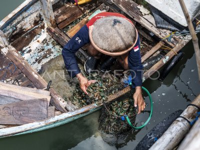 Upaya penguatan kesejahteraan dan keberlanjutan nelayan kecil