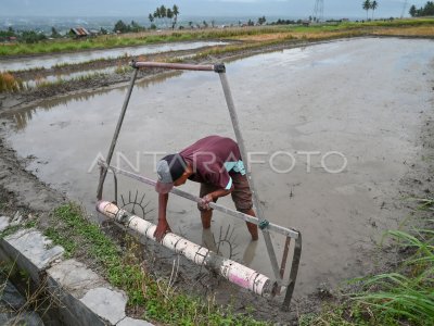Technological innovation in rice planting in Sigi