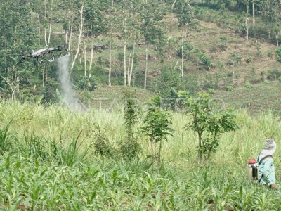 Spraying services using drones