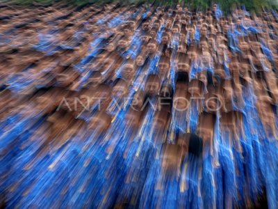 Pelantikan ribuan PPPK paruh waktu di Kabupaten Bogor