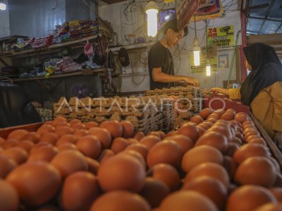 The increase in chicken egg prices in Ternate