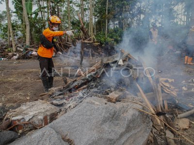 Ratusan ternak milik warga mati akibat erupsi Gunung Semeru