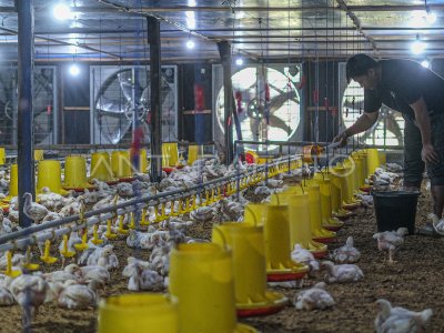 Pemanfaatan energi listrik untuk peternakan tertutup di Konawe Selatan