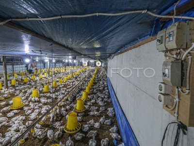 Pemanfaatan energi listrik untuk peternakan tertutup di Konawe Selatan