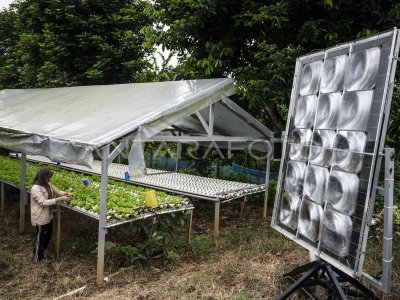 Pemanfaatan energi surya untuk pertanian hidroponik