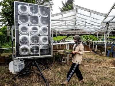 Pemanfaatan energi surya untuk pertanian hidroponik