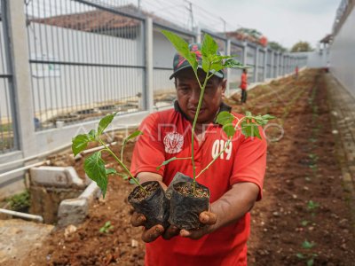 Program ketahanan pangan di Lapas Batang