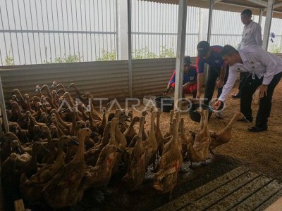 Program ketahanan pangan di Lapas Batang