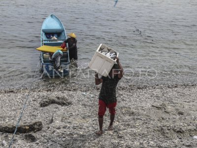 Pasokan ikan untuk program MBG di Maluku Tengah