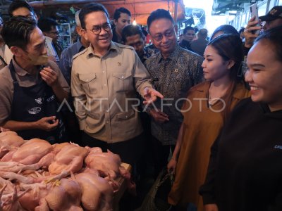 Mendag pantau harga bahan pokok di Kalbar