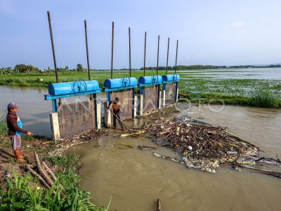 Flood management in the agricultural land of Lamongan