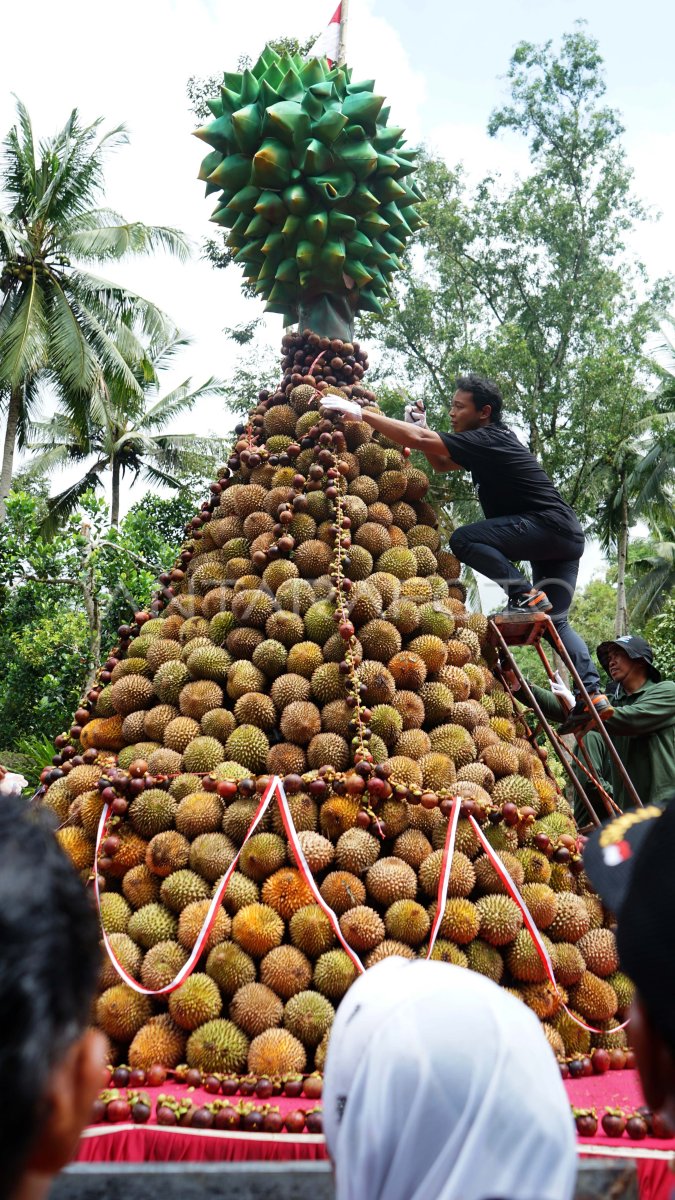 International Durio Festival 2024