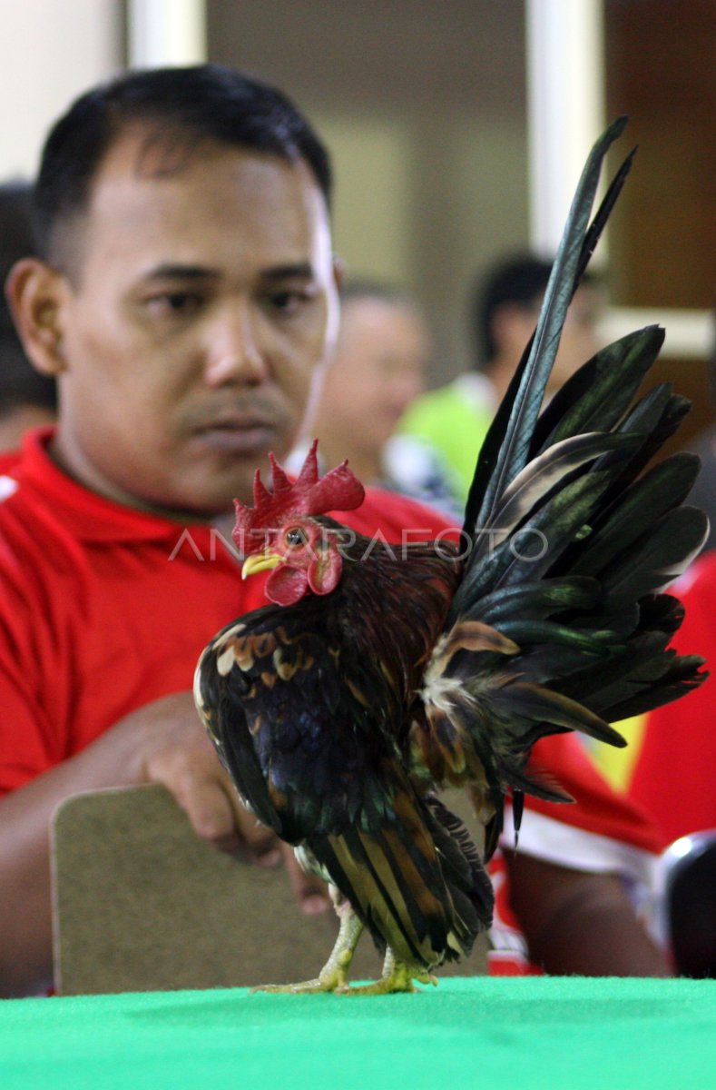 ASEAN CONTEST